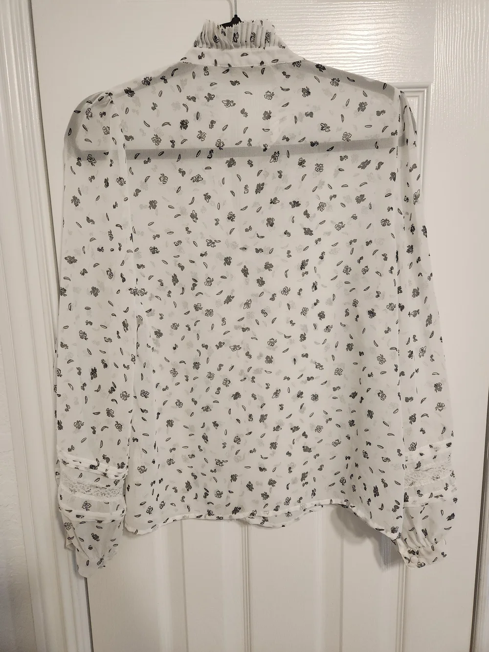 Zara White Sheer Cottagecore Blouse with Black Floral and Ruffle Collar - Sz SM